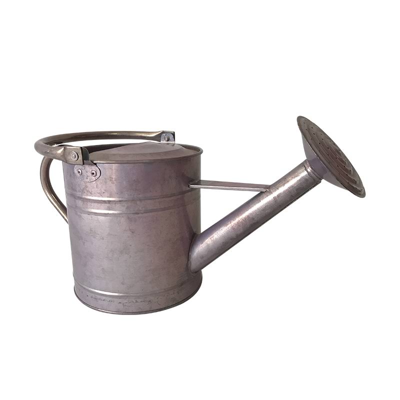Bright Color Different Size Metal Garden 1 Gallon Watering Can With Long Spout