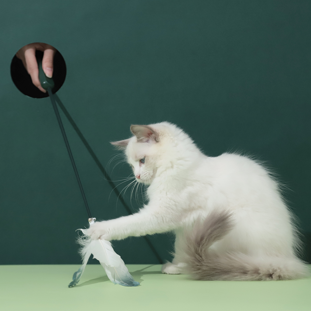2021 Newest Hoopet Feather Infrared Light Laser Cat Teaser Stick Toys