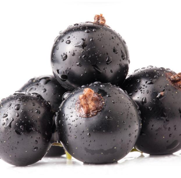 Natural blackcurrant fruit juice powder black currant extract organic blackcurrant powder