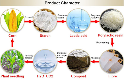 Biodegradable polylactic acid  PLA  spunbond nonwoven