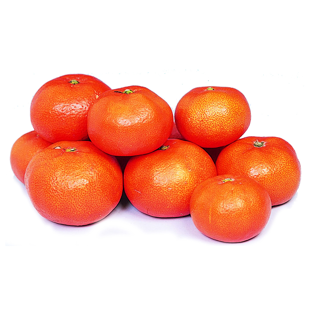 Very high sugar content red fresh orange fruit with high quality wholesale