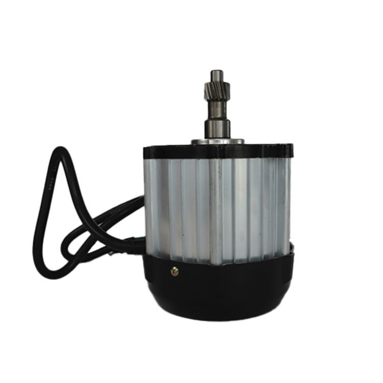Professional Supply 48V Auto Electric Rickshaw Motor Kit