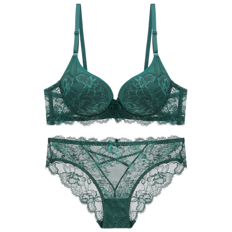 Hot Selling Women Lace Bra Brief Set Fashion Lace Transparent Bra Panties Bra Women Underwear Set