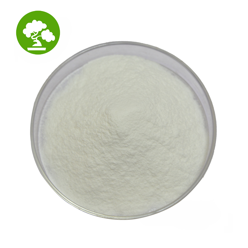 Manufacturer Supply Food Grade Enzyme Transglutaminase