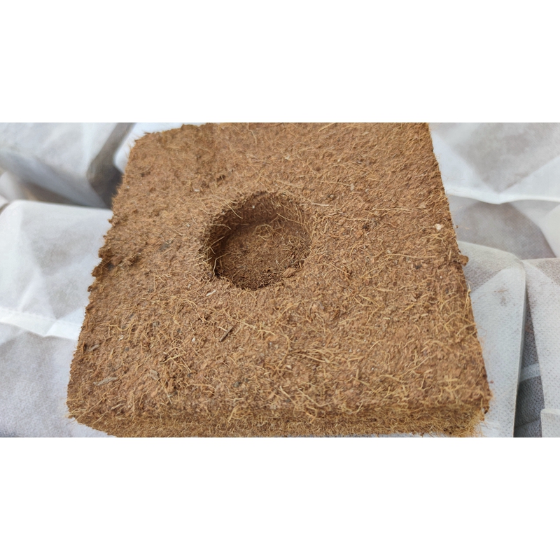 Cheapest Price Coconut Bricks Coco Peat Blocks From China Supplier