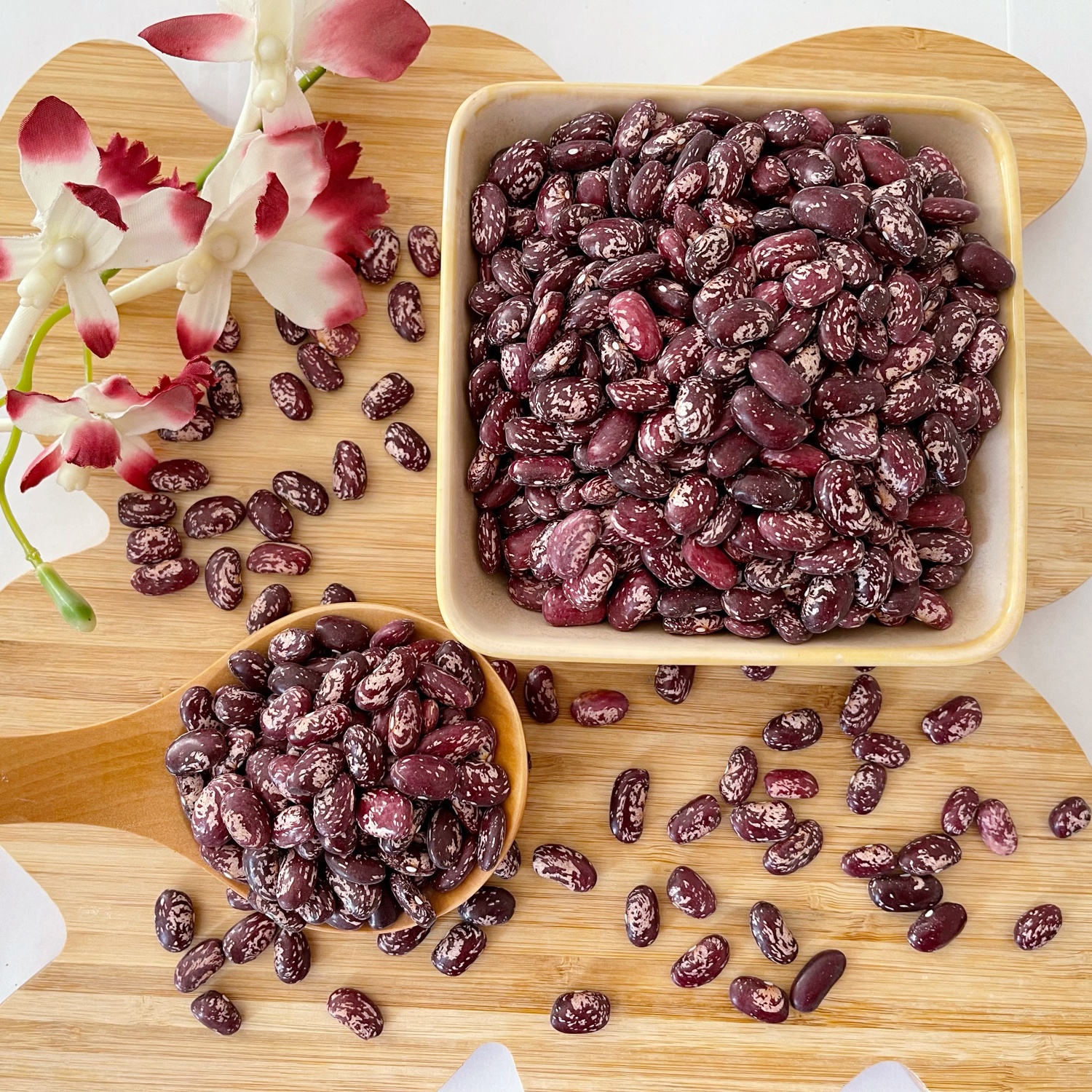 Оптовая продажа, Натуральные сушеные бобы Pinto Bean, фиолетовые зернистые фасоли