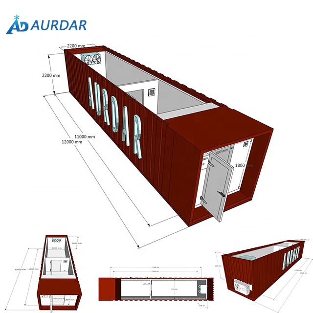 Aurdar blast Морозильный контейнер холодильное оборудование для холодильной камеры