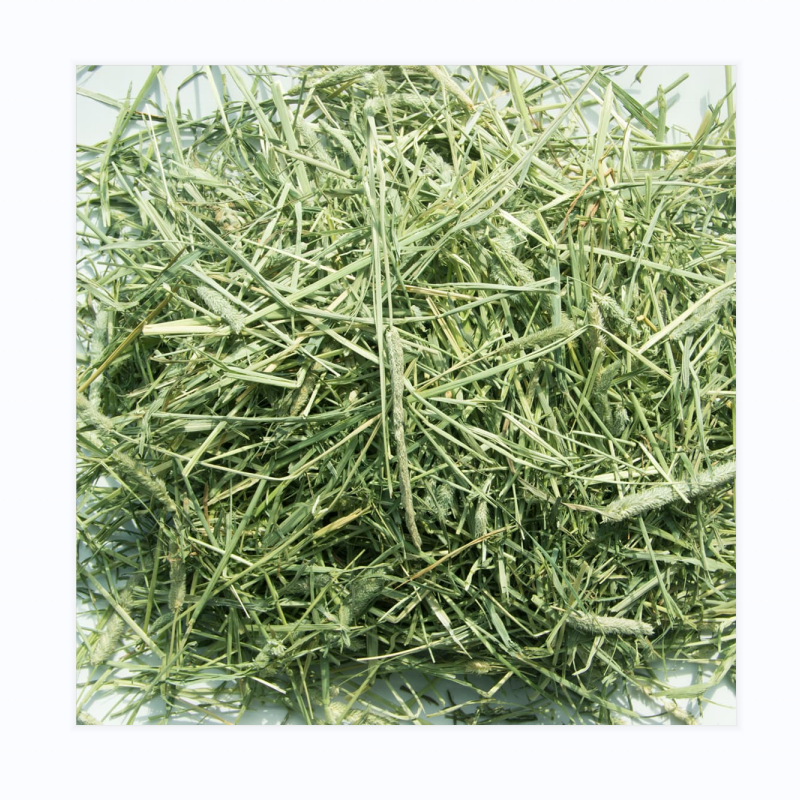 American Timothy Hay 1st Cut Dairy Horse Rabbits Pets Feed