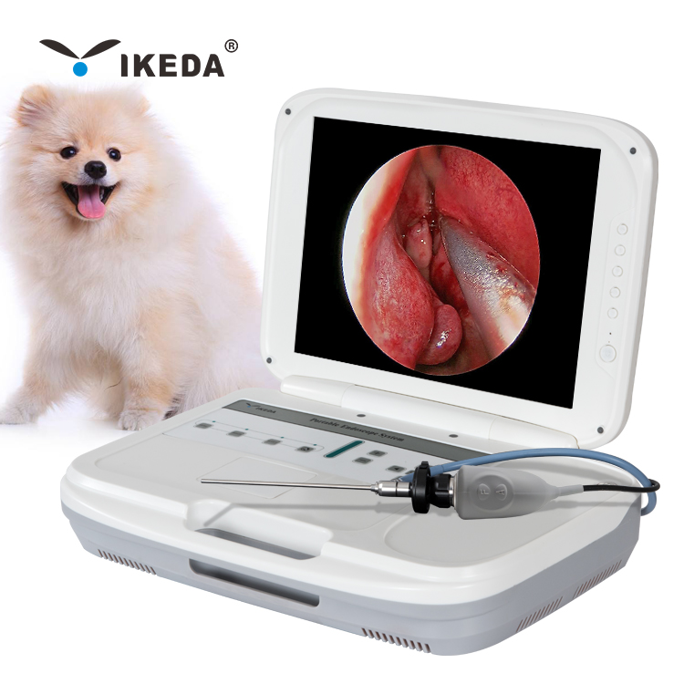 IKEDA HD портативная камера для ветеринарного использования