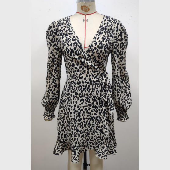 2021 Long Sleeve A-line Skirt Animal Print V-neck Party Dress