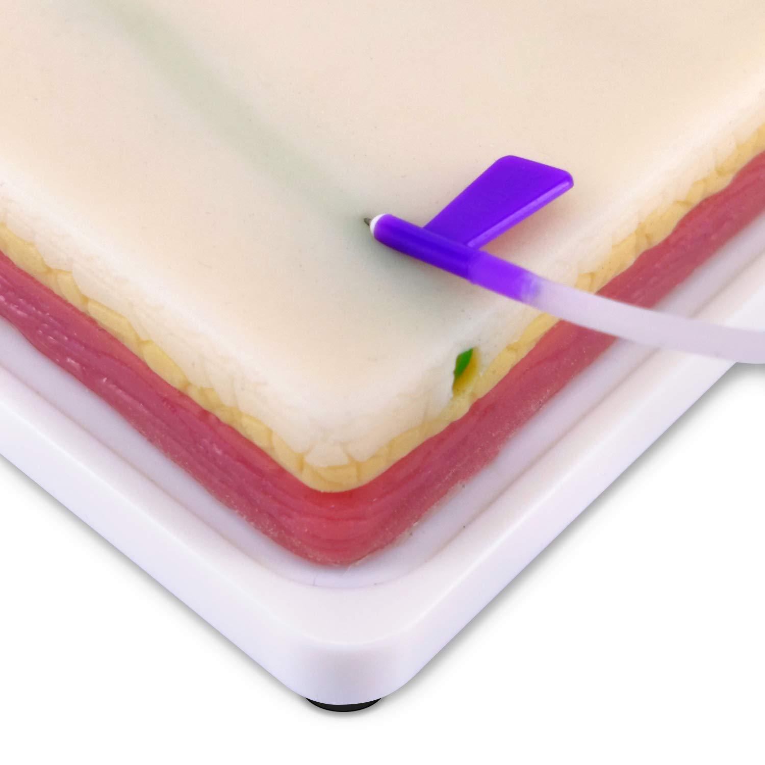 vein injection training pad Venipuncture IV suture infusion blood transfusion practice model kit for student