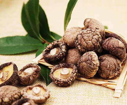 Высушенные блоки, ствол гриба Shiitake, гриб Shiitake