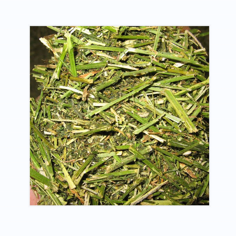 Best Quality alfalfa hay feeding horses for Animal Feeding
