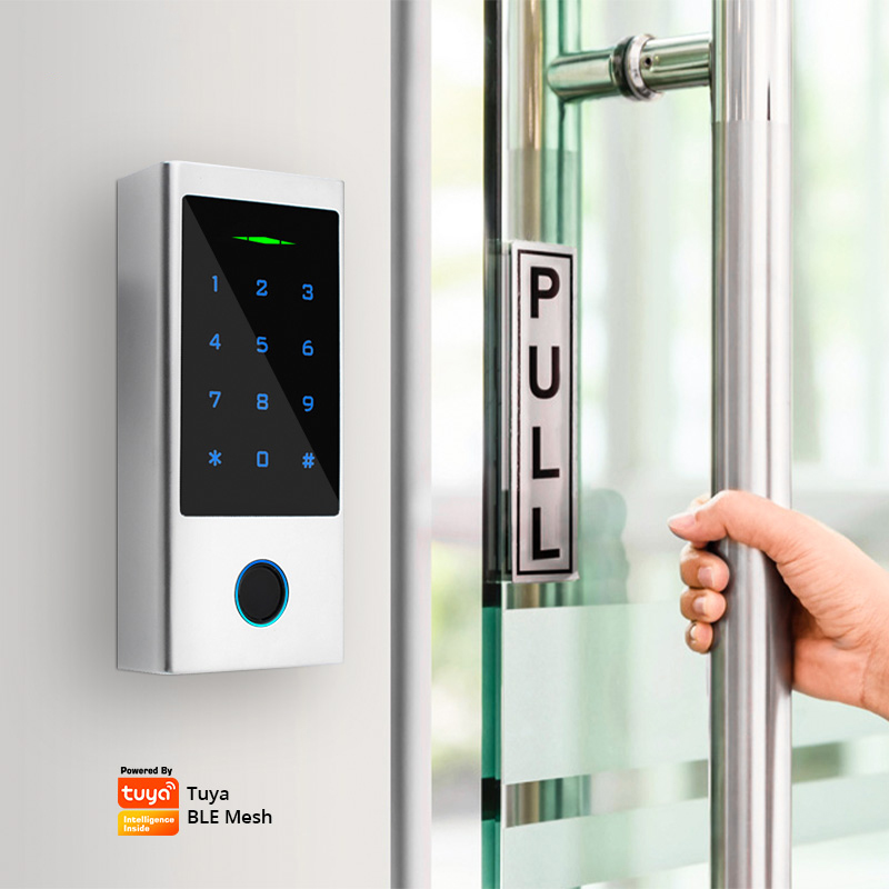 Tediton Rfid Access Control System Keypad Tuya Wifi Smart Door Lock Fingerprint Touch-Screen biometric access control
