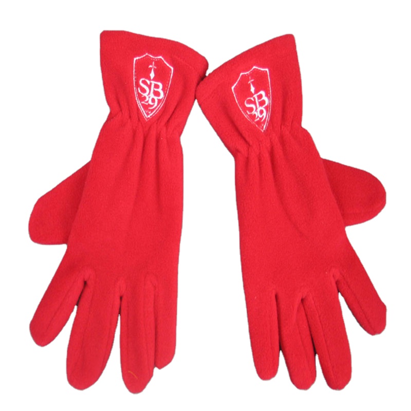 custom cheap promotional polar fleece gloves with embroidery logo