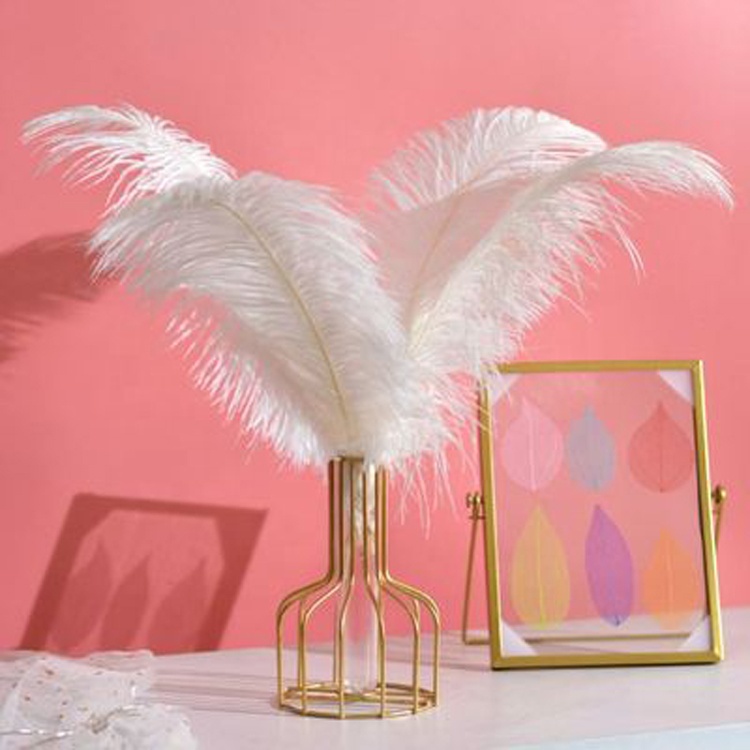 high Quality artificial beautiful feather white ostrich feather For home decoration