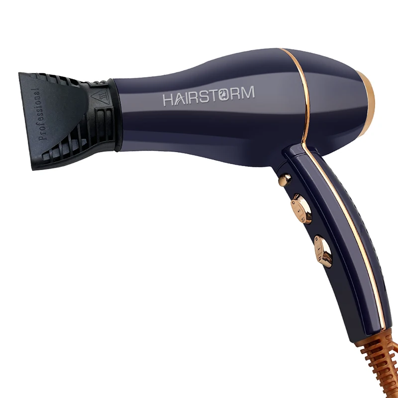 Professional Ac Motor Easy Blow Fast Dryer For Afro Hair Private Label Negative Ion Salon Hairdresser Hair Dryer
