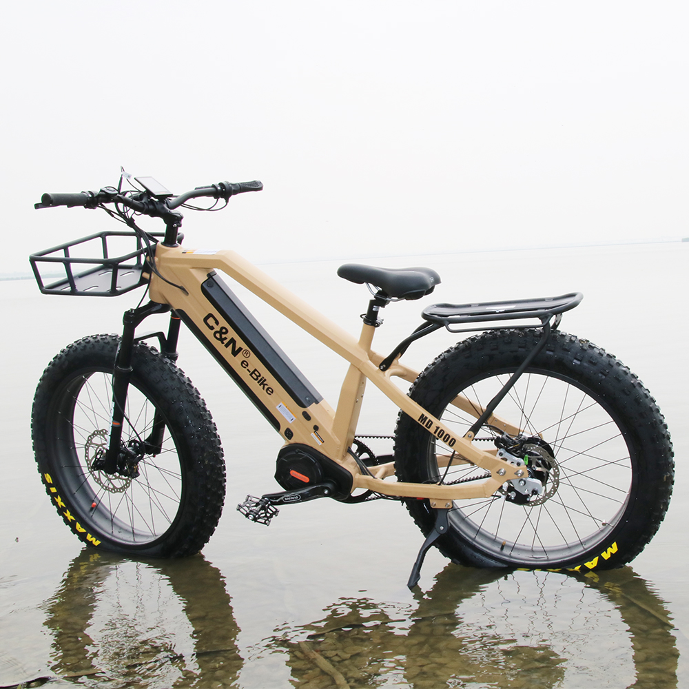 Велосипед Rohloff с 14 скоростями и двумя аккумуляторами, 48 В, 1000 Вт, Bafang G510