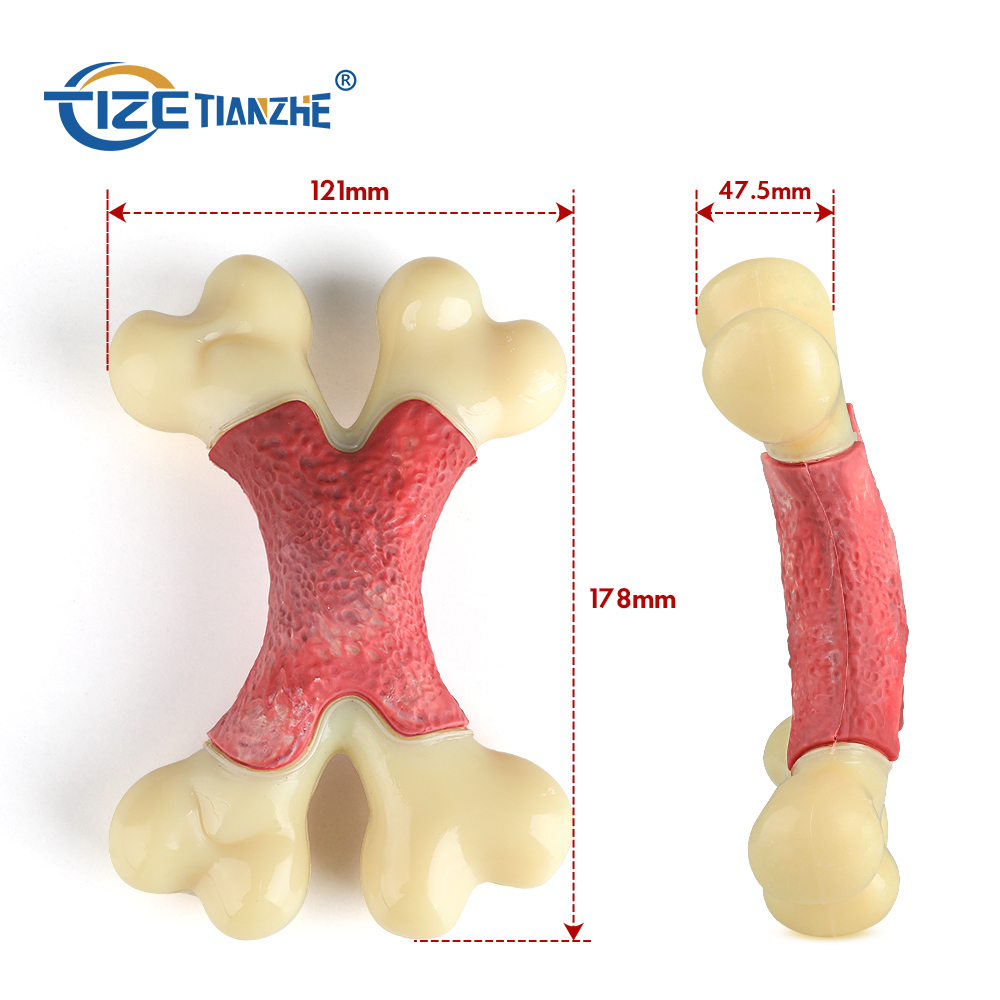 Double Bone Tough Dog Dental Chews Toy Fun To Chew Chase And Fetch Dog Bone Chew Toy Nylon Dog Durable Toy