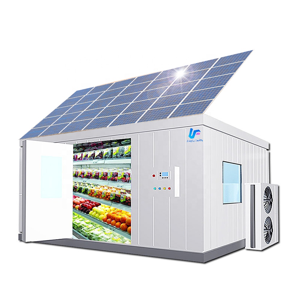 10 Years Design Experience Solar Panel Powder Built-in Battery Deep Freezer Cold Storage Room