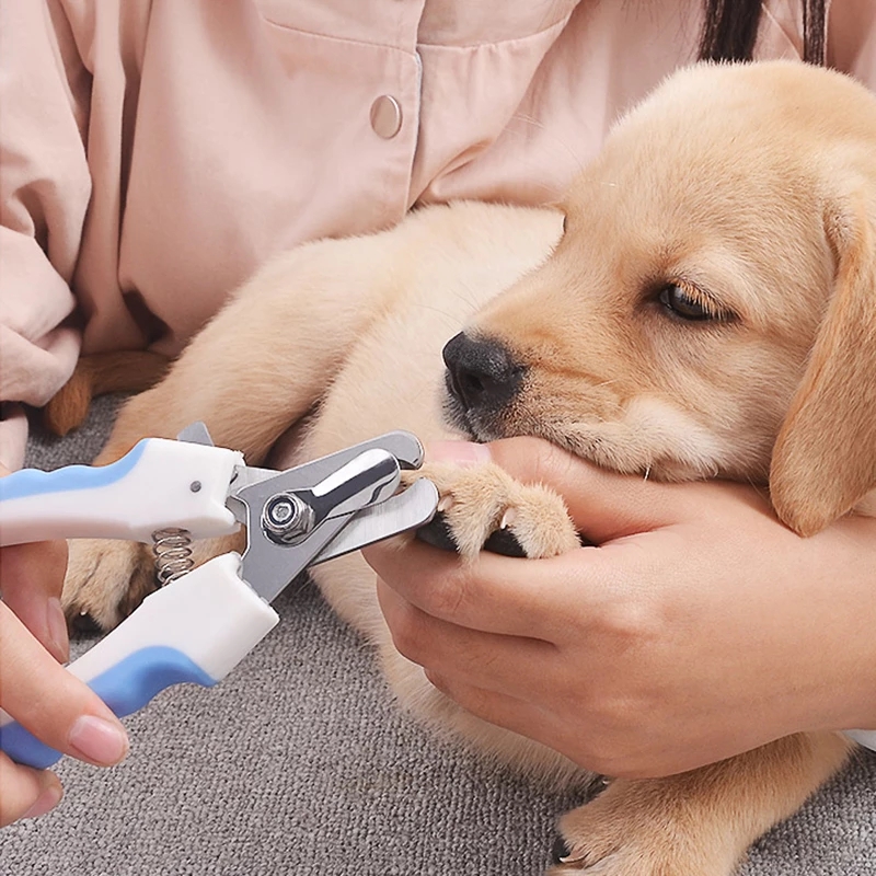 Manufacturer Pet Nail Clipper Scissor Dog Cat Nai Claw Clippers Grooming Tools Pet Scissor