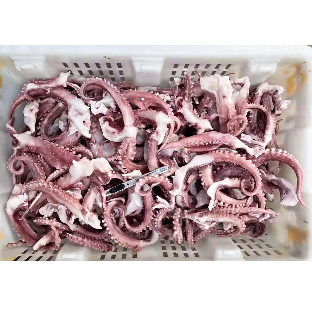 Китайский поставщик кальмаров, замороженные морепродукты, заготовка кальмара, однослойная