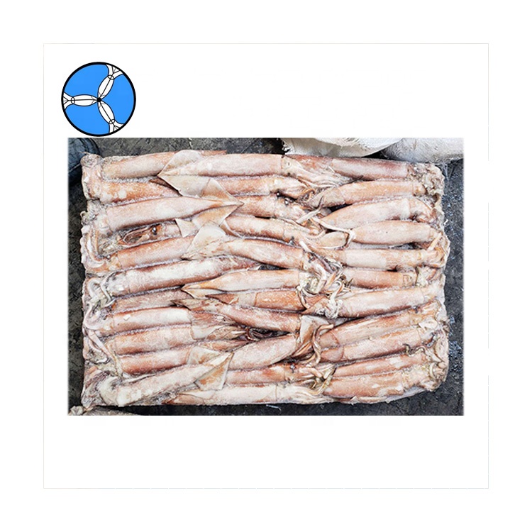 Морепродукты SANFENG, цельные круглые кальмары Todarodes Pacificus