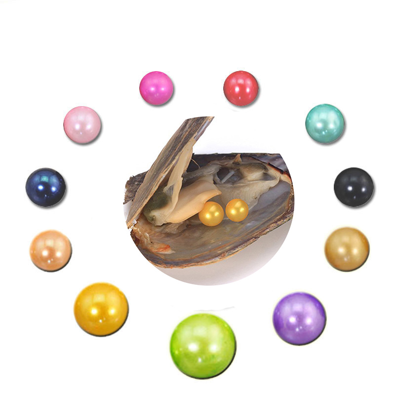 Round Pearl Oyster 2021 new 6-7mm 27 mix color Fresh water Natural Twins pearl Gift DIY Loose Decorations Vacuum Packaging