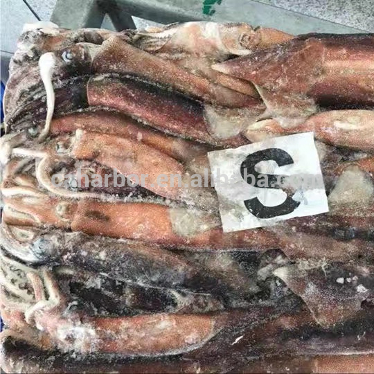 200 г 300 г Кальмари иллекс Аргентинская замороженная рыба кальмара для продажи