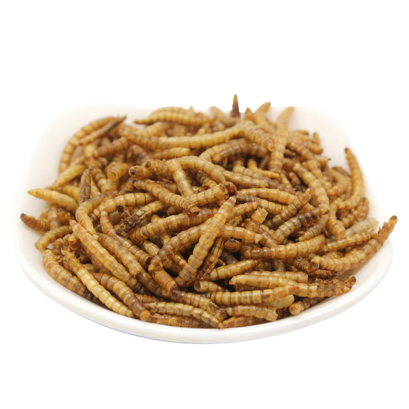 High quality Dried black soldier fly mealworms for bird and aquarium fish and turtle food