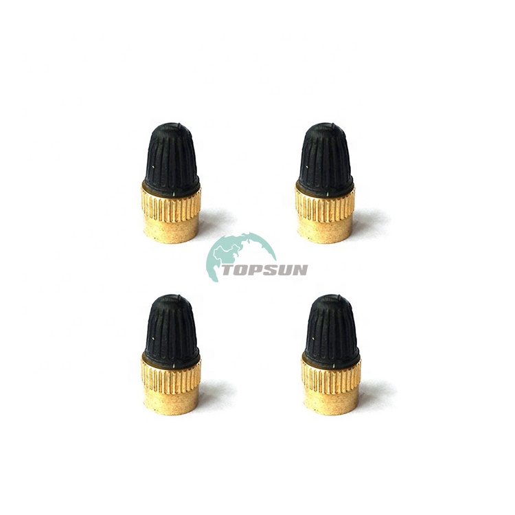Hot selling brass auto parts car Wheel tire valve ccap