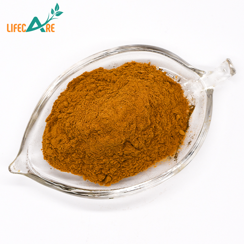 Factory Supply Raw Powder Rhodiola Rosea Root Extract Powder In Bulk