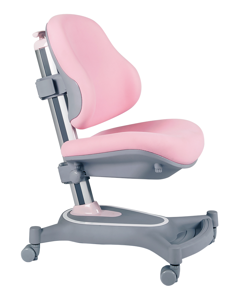 Cheap Chair Factory Price Ergonomic Design Children Study Chair