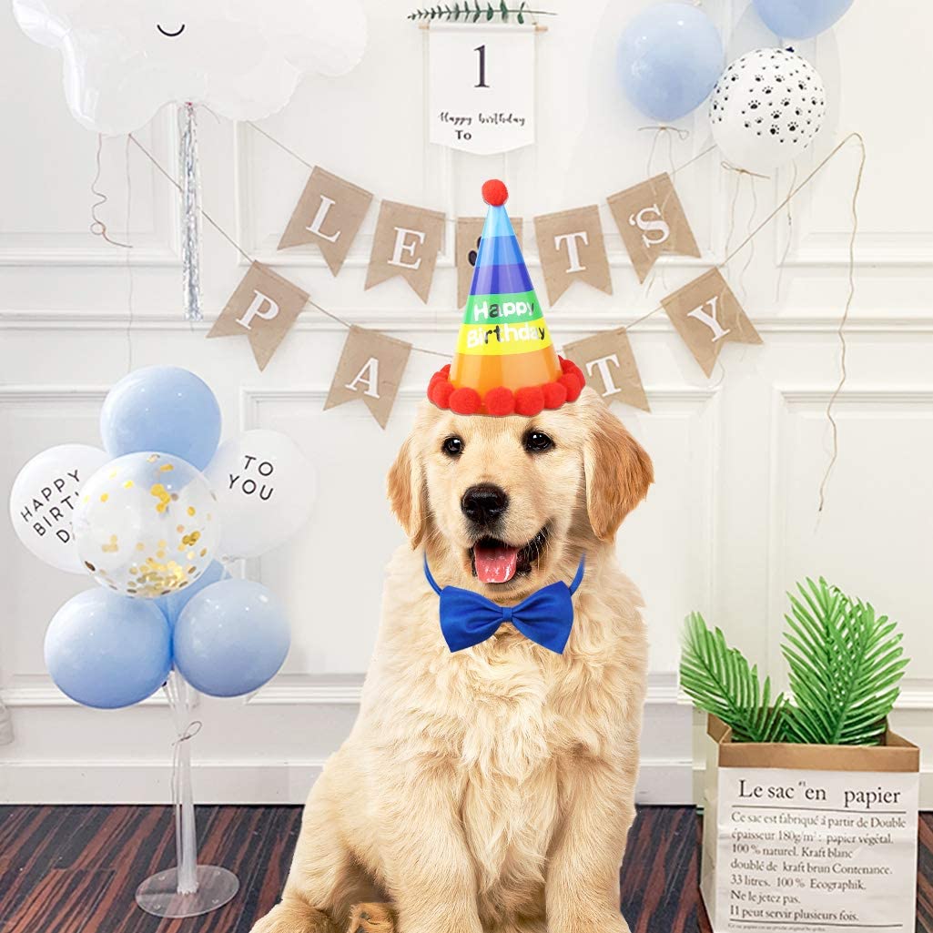 Dog Party Supplies Paper Birthday Party Hat with Bow Tie Necktie Collar Dog Cone Hats Set