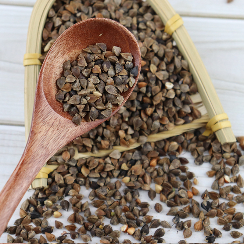 Wholesale buckwheat / Buckwheat grain / buckwheat seed