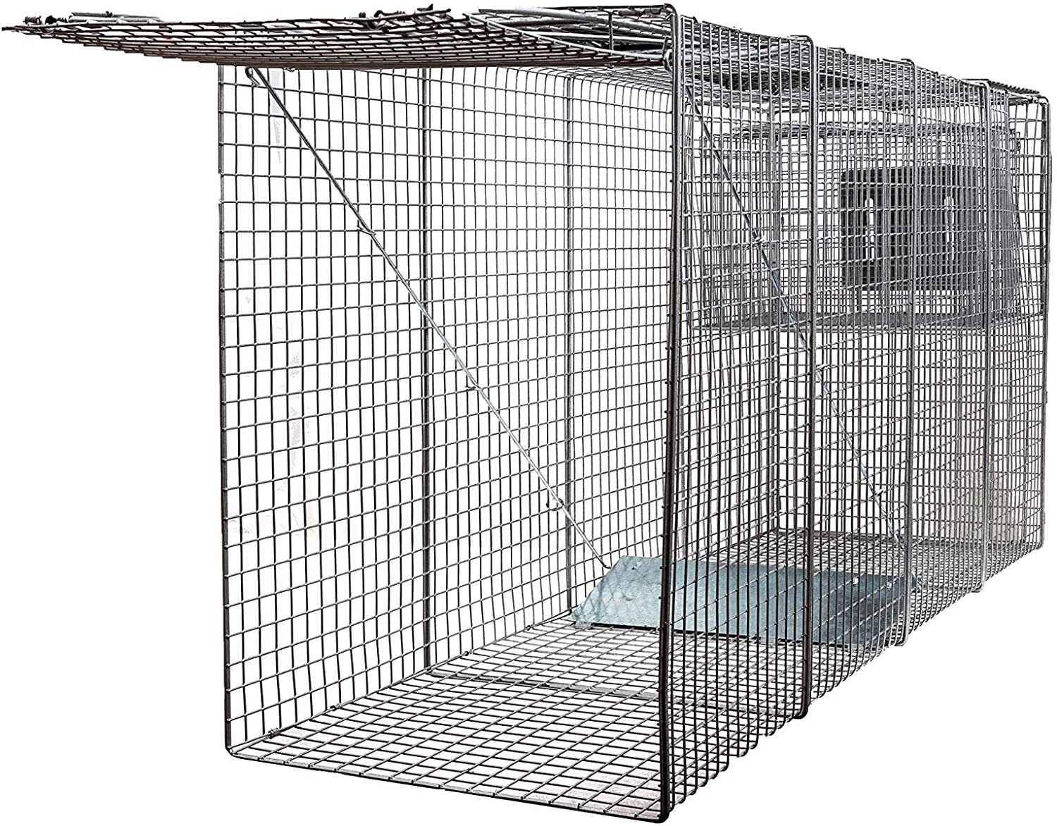 Metal Rat Capture Cage With Lock