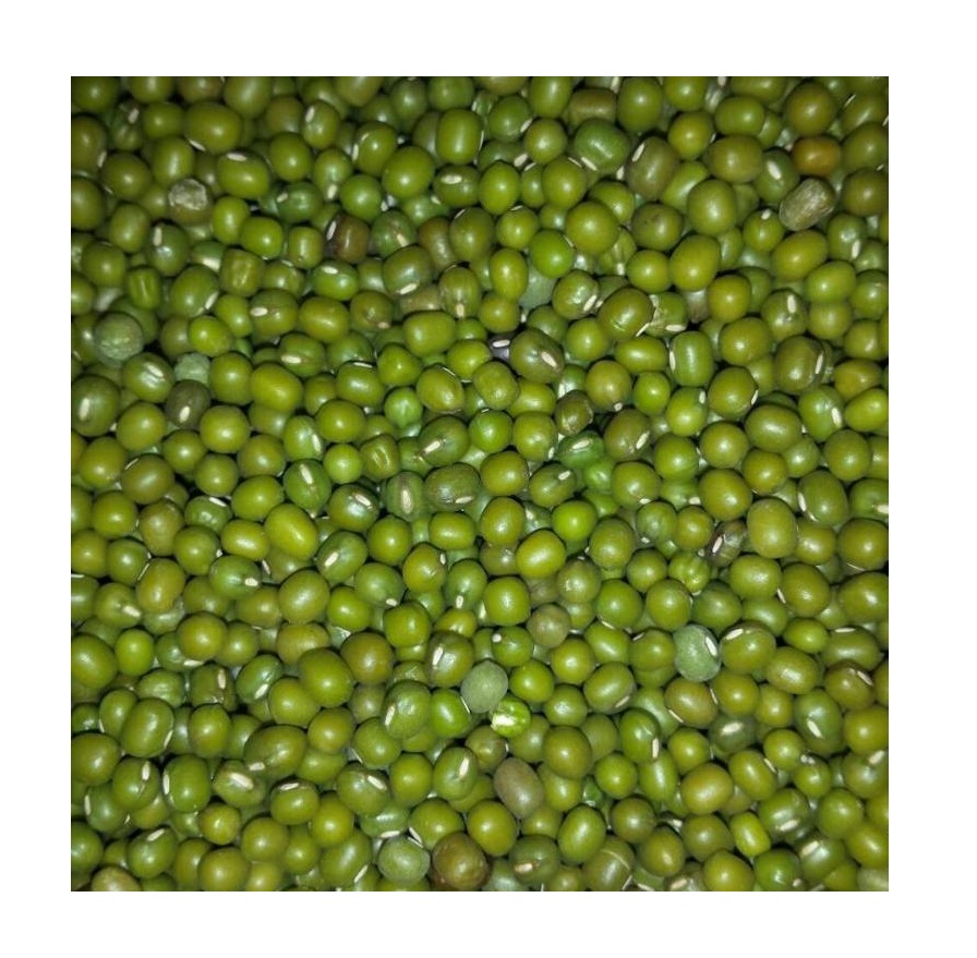 Оптовая продажа хорошего качества epepianb BUIK SPROUTING GREEN MUNG BEANS