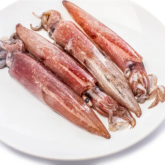 wholesale IQF loligo squid