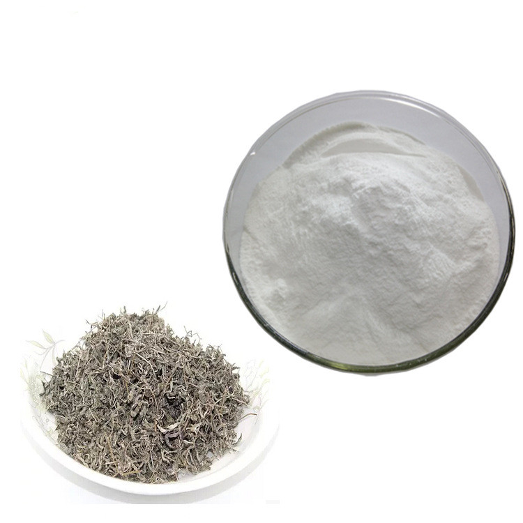 High Quality Natural vine tea extract powder 98% dhm dihydromyricetin