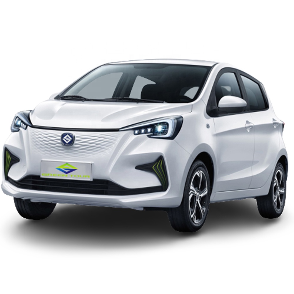 New electric four-wheeler adult mobility car fully enclosed battery car dual use solar and electric