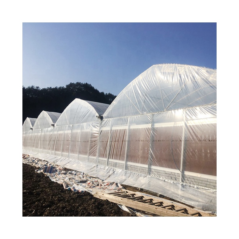 Other greenhouses covered poly film plastic shed multi-span with factory price agriculture greenhouse