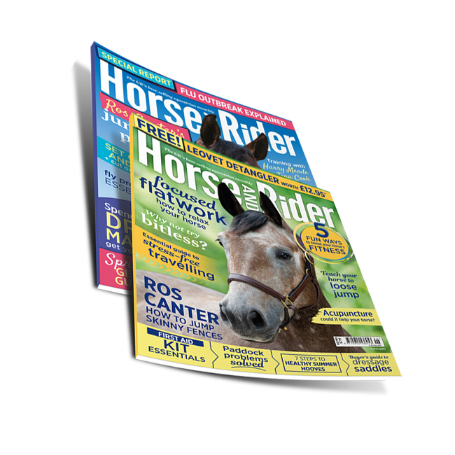 Softcover Booklet Brochure Magazine Hardcover Book Printing Service