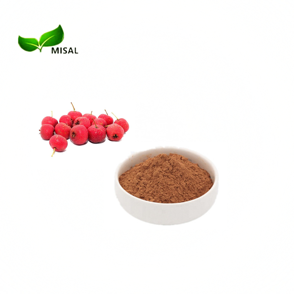 100% natural hawthorn fruit powder/ hawthorn berry powder/ hawthorn powder