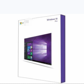 Розничная упаковка USB FPP multi language MS WIN 10 professional