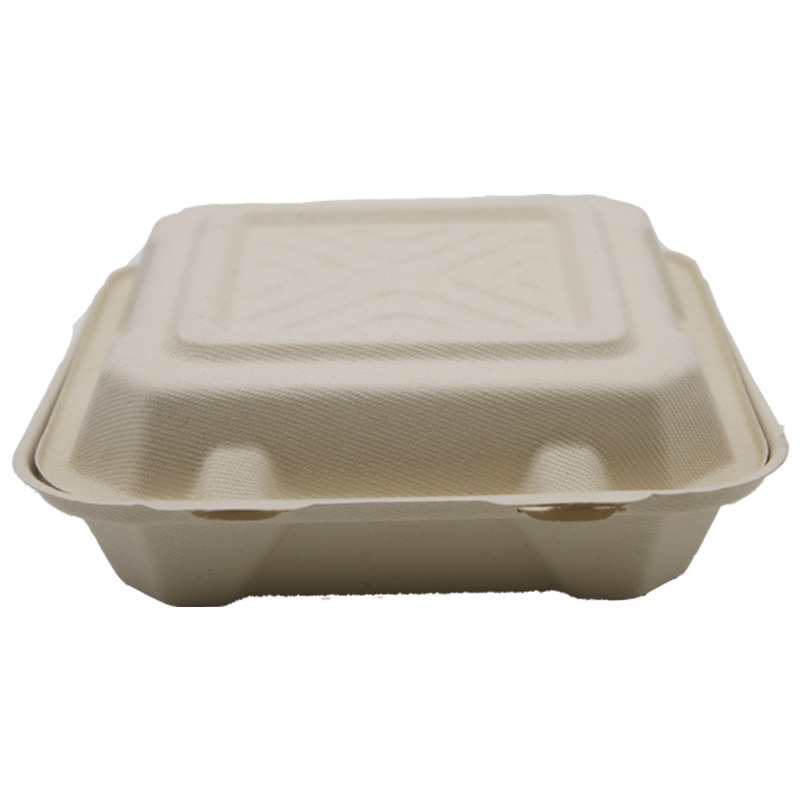100% compostable take out kids lunch box sugarcane bagasse disposable biodegradable clamshell food container with compartment