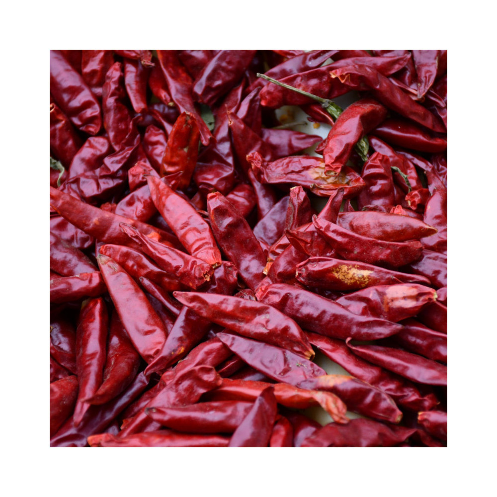 Factory Wholesale red dried Qin Chili pepper chili pepper