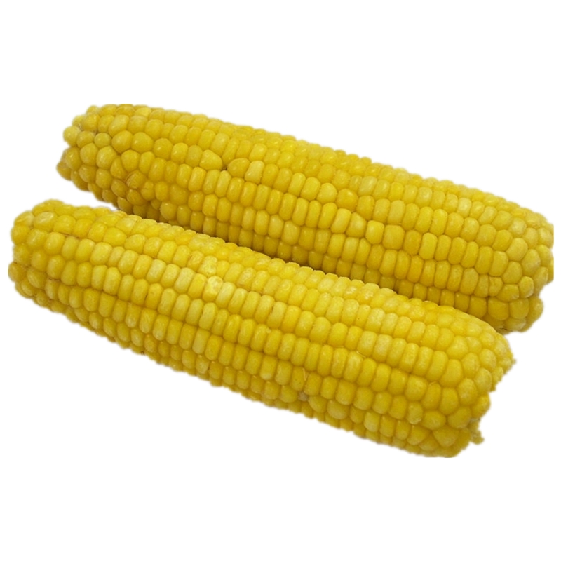 sweet waxy corn 250g net weight vacuum packing healthy organic NON-transgenic Natural