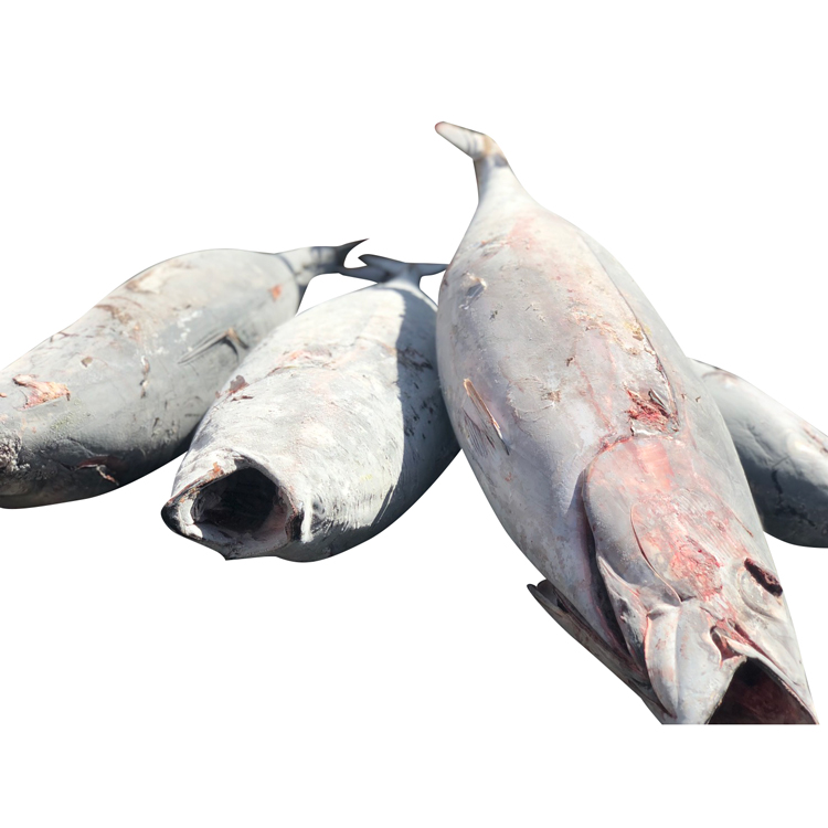 Различные хорошее качество IQF замороженное масло Рыба для свежих морепродуктов