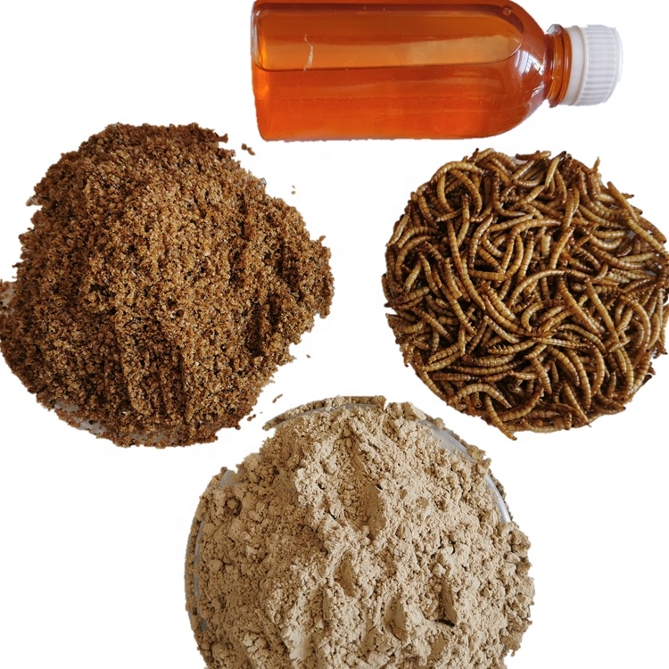 Порошок насекомого водный корм Mealworms порошок размороженные Сушеные Mealworms порошок