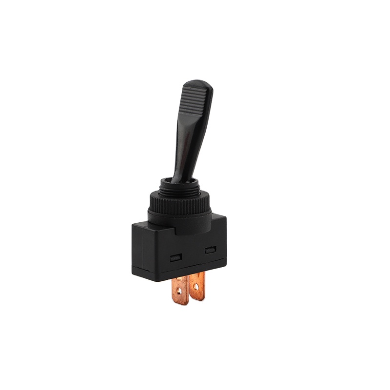 Черный 2 pin автомобильный установка тумблер ASW-13-101